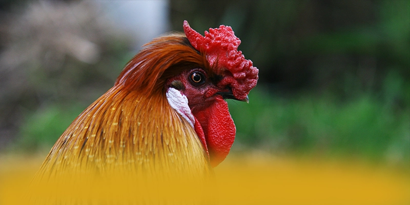 GO8 - Sảnh game chất lượng trong giới game thủ