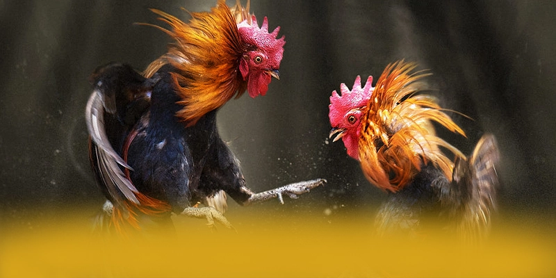 
Trải nghiệm GO8 - Cổng game bài an toàn tuyệt đối được cộng đồng đánh giá cao
