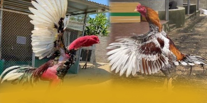 SUNWIN - Cổng game đáng trải nghiệm trong giới game thủ SUNWIN - Cổng game đáng trải nghiệm trong giới game thủ