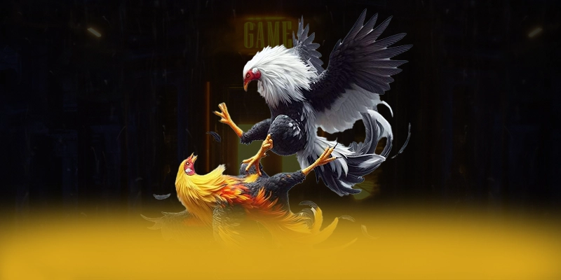 WIN79 - Nền tảng cá cược cung cấp hàng trăm tựa game đẳng cấp được đánh giá cao – Khám phá top WIN79