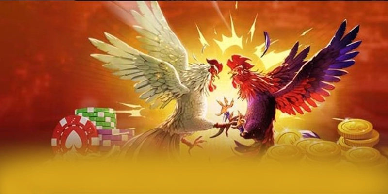 VWIN - Cổng game đang được quan tâm hàng đầu trên thị trường – Khám phá ngay các trò chơi tại VWIN