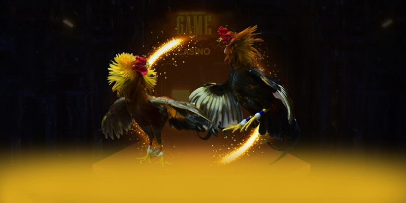 XO88 - Nhà cái sở hữu odds cạnh tranh nhất
