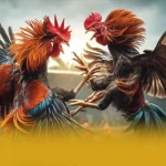 FB88 – Trang game có thưởng lớn 2026
