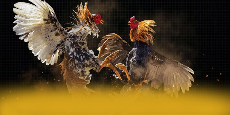 Đội ngũ tư vấn viên tại 8xbet Đội ngũ tư vấn viên tại 8xbet