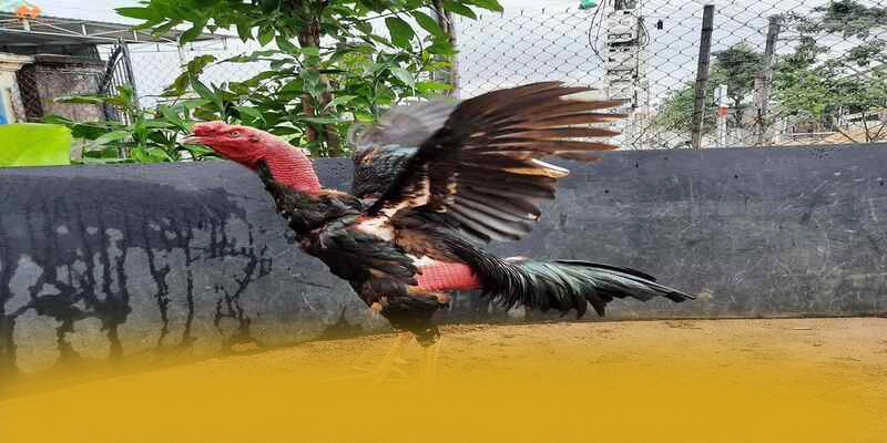 Độ tin cậy thông tin người dùng tại FB88 Độ tin cậy thông tin người dùng tại FB88